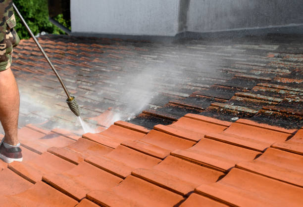 Best Fence Pressure Washing  in Hammond, IN